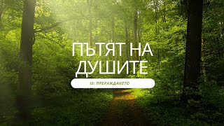 15. ПЪТЯТ НА ДУШИТЕ - ПРЕРАЖДАНЕТО - част 2 - Майкъл Нютън #душа #прераждане #регрессия