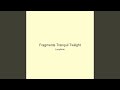 Fragments Tranquil Twilight