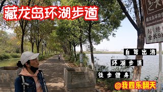 武汉市江夏区藏龙岛步道钓鱼的人真多，湖边采摘的野菜竟然可卖25元一斤