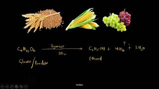 Alcohols, Phenols and Ethers - Part 11