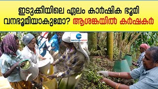 മുഴുവൻ രേഖകളും ഹൈക്കോടതി ചോദിച്ചു:  ഇടുക്കിയിലെ ഏലം കാര്‍ഷിക ഭൂമി വനഭൂമിയാകുമോ? ആശങ്കയിൽ കർഷകർ