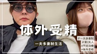 【ご報告】体外受精をする決断をしました【129話】