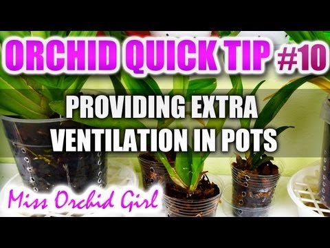 Orchid Tip #10 - How to create extra ventilation holes in your Orchid pots Orchid Tip #10 - How to create extra ventilation holes in your Orchid pots