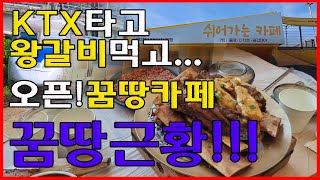 KTX타고 해피트레인! 정서진 쉬어가는카페 오픈!