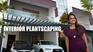 How to Decor your home with Plants! ചെടികൾ കൊണ്ട് വീട് മനോഹരമാക്കാം!Ceramic pots!