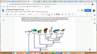 Reading Phylogenetic Trees Tutorial