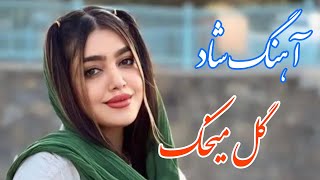 persian music 🌹 آهنگ شاد و زیبای گل میخک سفید با خوانندگی و نوازندگی مجتبی نصیری