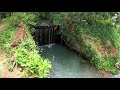 villukuri bridge kanyakumari வில்லுக்குறி kanyakumari nature hannielnaturekanyakumari 013