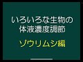 講義 いろいろな生物の体液濃度調節③_カニ編