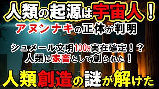 【宇宙人】アヌンナキが残した「衝撃の秘密」と最古文明の謎！シュメール文明が人類の起源の99.9％を隠したという人類創造の真実は嘘だ！ 【都市伝説】