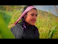 Mi Linda Tierra - La Excelencia De Oaxaca (VIDEO OFICIAL 2017)