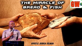 The Miracle Of The Bread And Fish || Apostle Joshua Selman Nimmak || God's Word TV