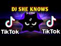 DJ SHE KNOWS X J. COLE X EXPLICIT VIDEOS (SLOWED BASS ANALOG) 2024 REMIX