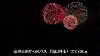 PL花火を奈良公園から遠望2012