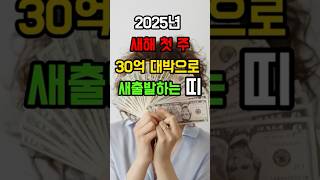 2025년 새해 첫주 30억 대박으로 새출발하는 띠