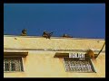 mg_027 israel stock footage hd footage of gaza 1980 2008