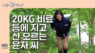 [나는농부다 301회] 20kg 비료 등에 지고 산 오르는 윤자 씨