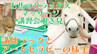 お馬のリラックスマッサージ講習会・講師ラックの様子をじっくり見る動画