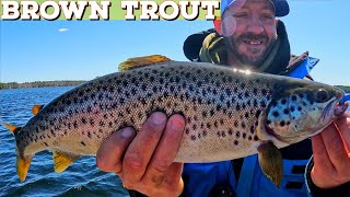 Brown Trout trolling w/ Garmin Livescope