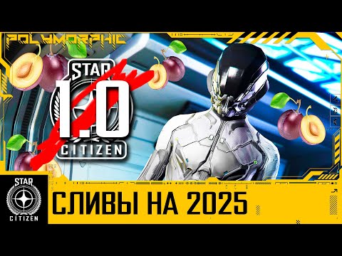 STAR CITIZEN: НОВОСТИ — Слив Планов на 2025 год / Новая Версия Star Citizen