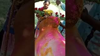 Tirupattur Veera Tamilzchii #Erudhu Kattu pasaga