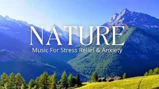 1 Hour Meditation Music, Relaxing Music, Stress Relief, Meditation, Sleep, Study, Zen, Spa