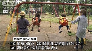 子育て費用が過去最高に　物価高の影響で月平均4万1320円　明治安田生命調査(2024年10月17日)