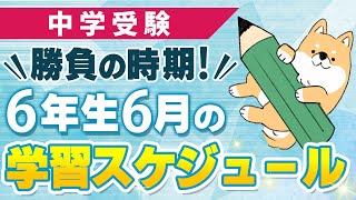 【中学受験】勝負の時期！6年生6月の学習スケジュール