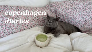 copenhagen diaries | BEST almond croissant, shopping with the girls \u0026 cuddling my british shorthair