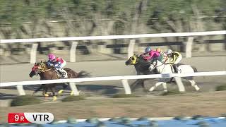 川崎競馬ダイジェスト 2022年1月4日（火）