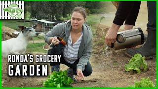 Ronda Rousey's Grocery Garden | Browsey Acres #StayHome