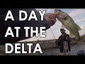 Delta Fishing out in Discovery Bay with some buddies - BITE WAS HOT - Who will win the day?