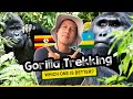 Epic Gorilla Trekking in Uganda vs. Rwanda │ A Powerful Wildlife Experience!