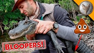 Alligator Poops on Host!