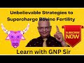 Boost Cattle Fertility Now! Our Shocking Discovery with GNP Sir!