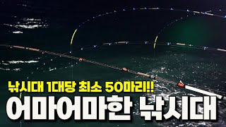 낚시하는 동안 계속 입질이 오는 특별한 낚시 장르!! 잡아도 잡아도 끝이 없네!! [박과장TV]