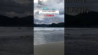 毎日投稿！今日は大荒れ！羽尾海岸 #田舎暮らし #鳥取 #観光 #移住 #海 #岩美町 #民宿 #漁師 #波情報