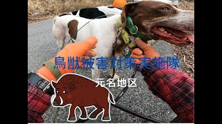 鳥獣被害対策実施隊4 3 13元名地区　午後の様子です。(猪、鹿、キョン等の捕獲）