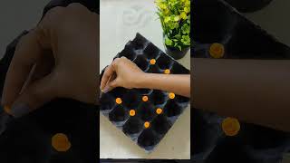 DIY Egg Tray Wall Hanging| Super Easy Egg Tray craft Activity|Best Out of Waste #shorts #shortsvideo