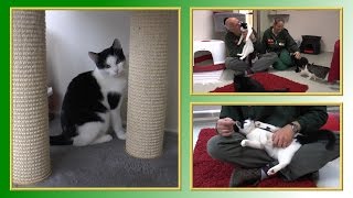 Katzenvermittlung - November/Dezember 2014 (Tierheim Hannover TV)