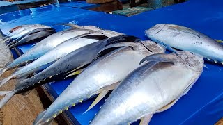 Amazing Yellowfin Tuna Cutting Skills at Sorong Traditional Fish Market by Expert 🔥🔥Live 31 Jan 25