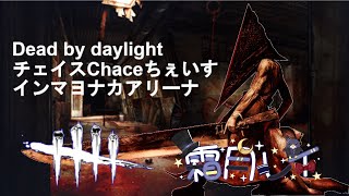 枠取り直しDeadByDaylightチェイスChaceちぇいすインマヨナカアリーナ