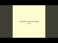 Fragments Shadow Fragile