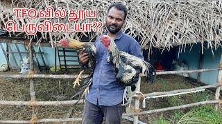 TFO வின் புதிய பெருவெடை பண்ணை !!! | TFO Farm channel