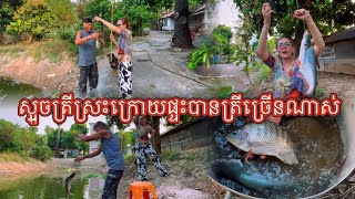 ស្ទួចត្រីបឹងក្រោយផ្ទះជាមួយប៉ា បានត្រីធំៗណាស់។ #អន្លង់ភ្ញៀវ #cambodia