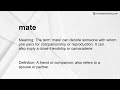 mate meaning