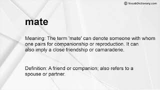 mate Meaning