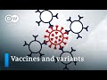 Vaccine efficacy uncertain as coronavirus variants spread | DW News
