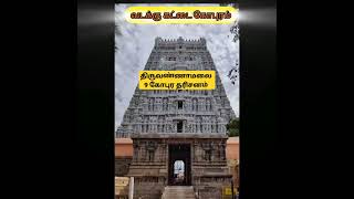 Tiruvannamalai Temple 10 Gopuram