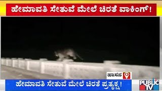 ಹಾಸನ: ಹೇಮಾವತಿ ನದಿ ಸೇತುವೆ ಮೇಲೆ ಚಿರತೆ ಕಾಣಿಸಿಕೊಂಡಿದೆ